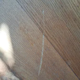 Houten vloer met schaduw en lijnspoor