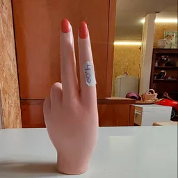 Roze mannequin hand met nagellak en tekst erop, tegen interieur achtergrond