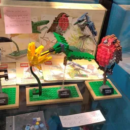 LEGO-vogelsets op groene display-bases met instructiekaarten en originele verpakking op achtergrond