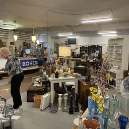Winkelvloer van kringloopwinkel met diverse gebruikte items: vazen, bloemen, lampen, meubels en huishoudwaren op tafels en st