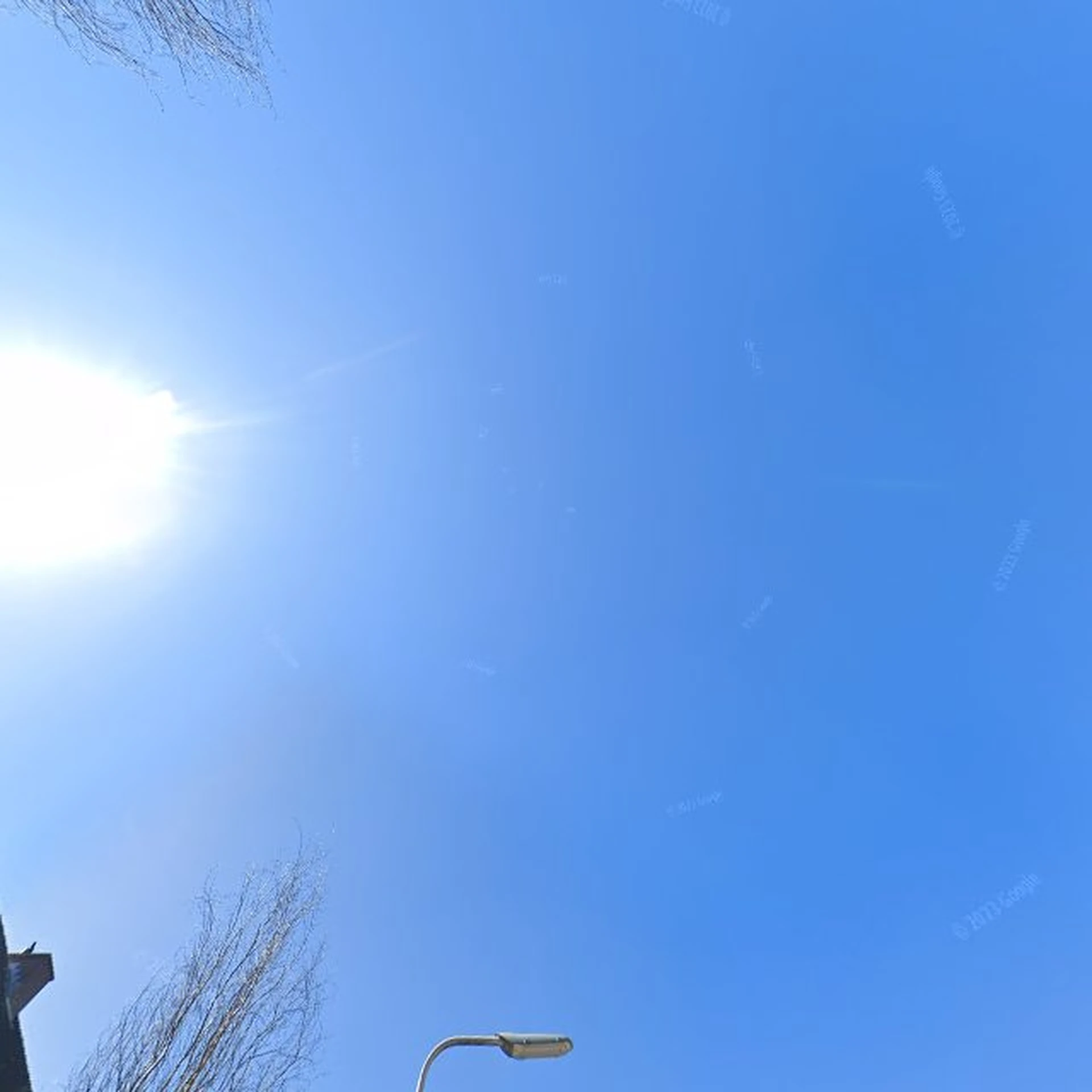 Kringloopwinkel Stichting Kringloopwinkel Boskoop in Boskoop