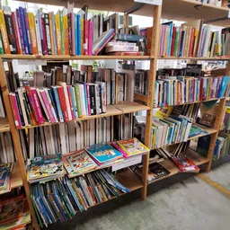 Houten stellingen met tweedehands boeken, dvd's en cd's netjes gerangschikt