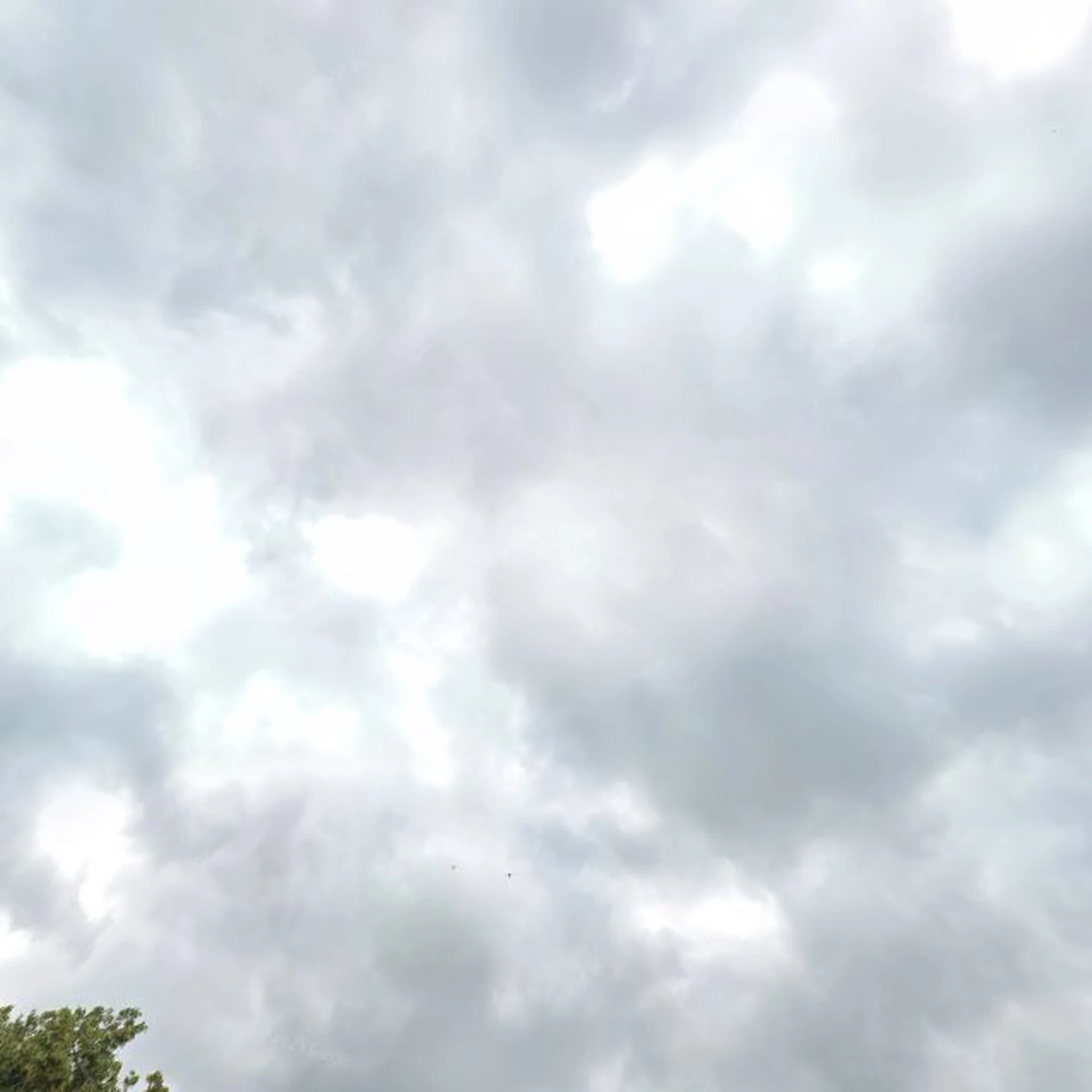 Kringloopwinkel Stichting Kringloopwinkel Helmond in Helmond