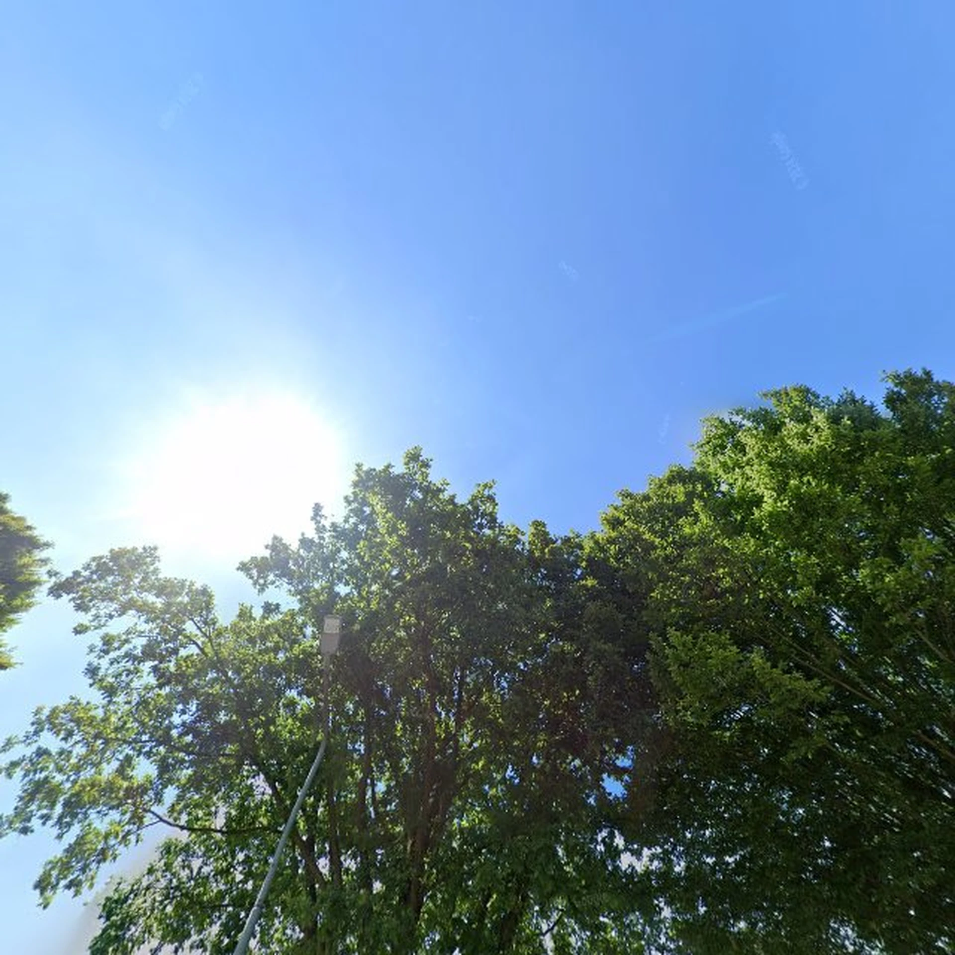 Kringloopwinkel Kringloopwinkel Stichting Primula in Reuver