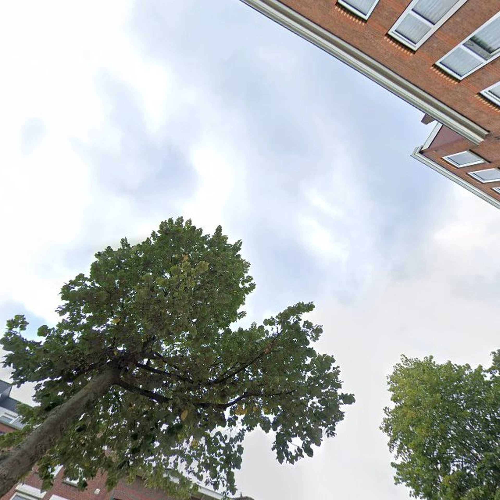 Kringloopwinkel Kringloopwinkel Stichting Remar Hollanda in Rotterdam