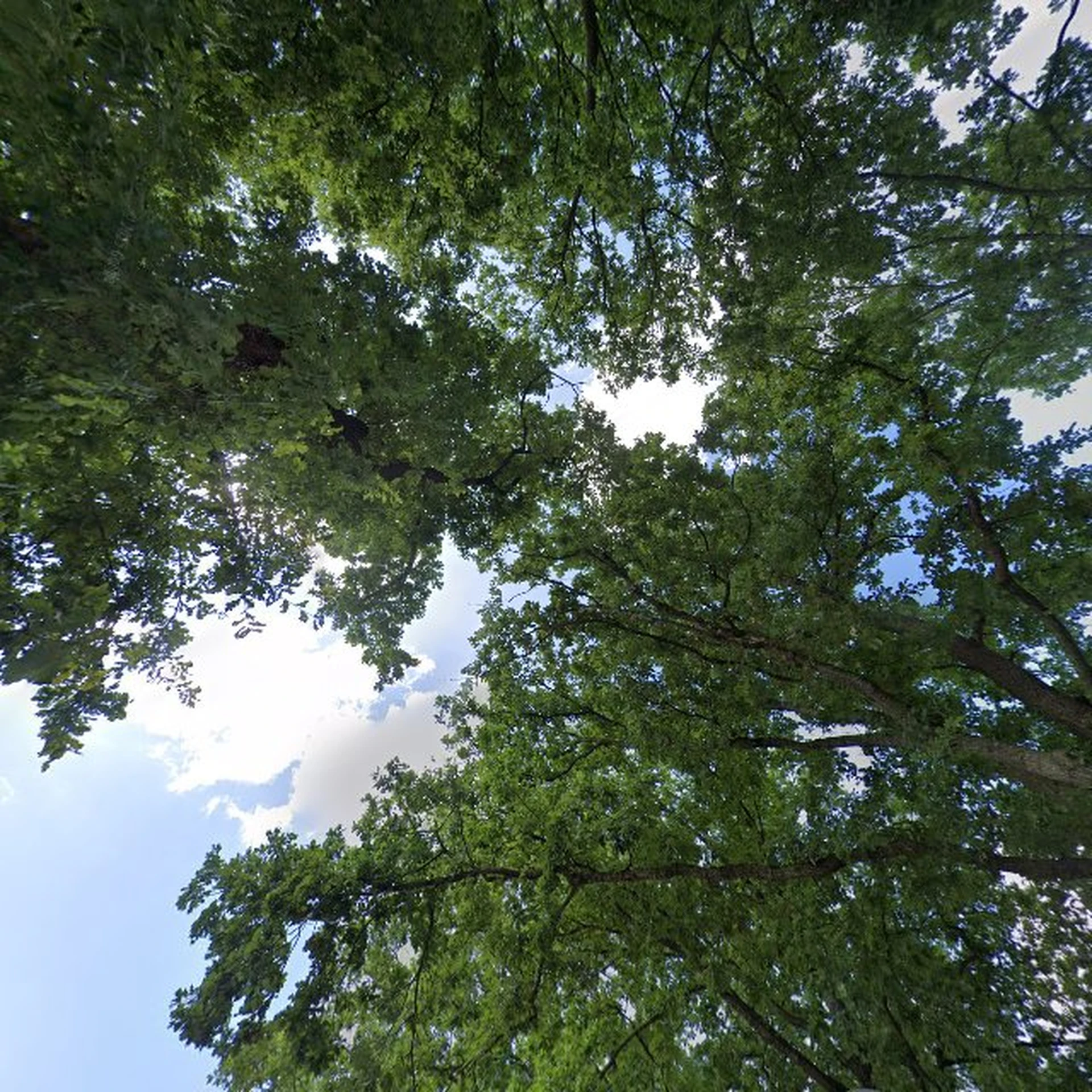 Kringloopwinkel Kringloopwinkel Stichting Struunhoekie in Coevorden