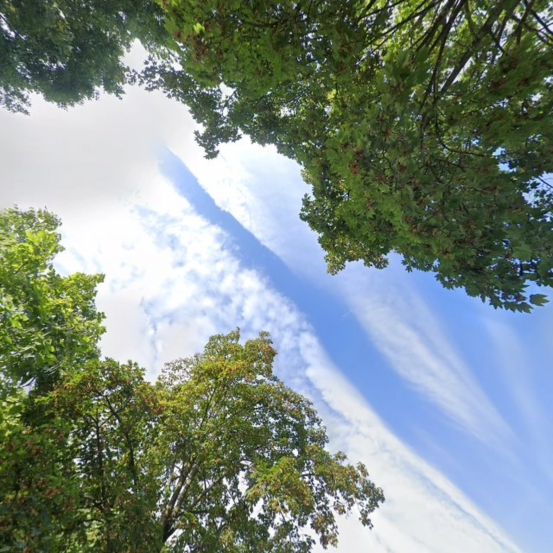 Kringloopwinkel Kringloopwinkel Stichting Timulazu in Heino