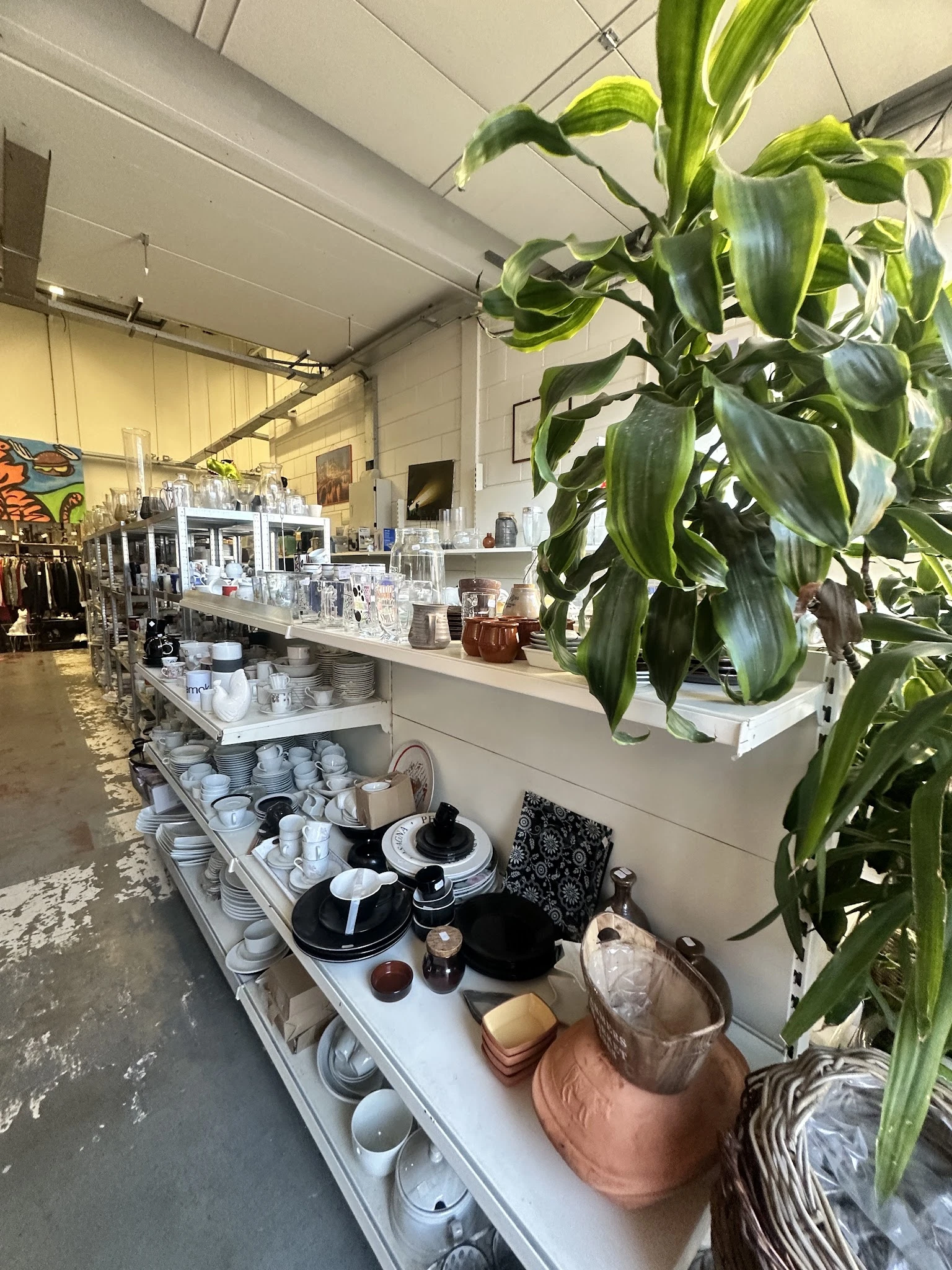 Uitstallingen met serviesgoed, huishoudwaar en decoratieve items op witte stellingen en tafels in de winkel