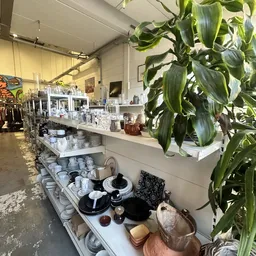 Uitstallingen met serviesgoed, huishoudwaar en decoratieve items op witte stellingen en tafels in de winkel