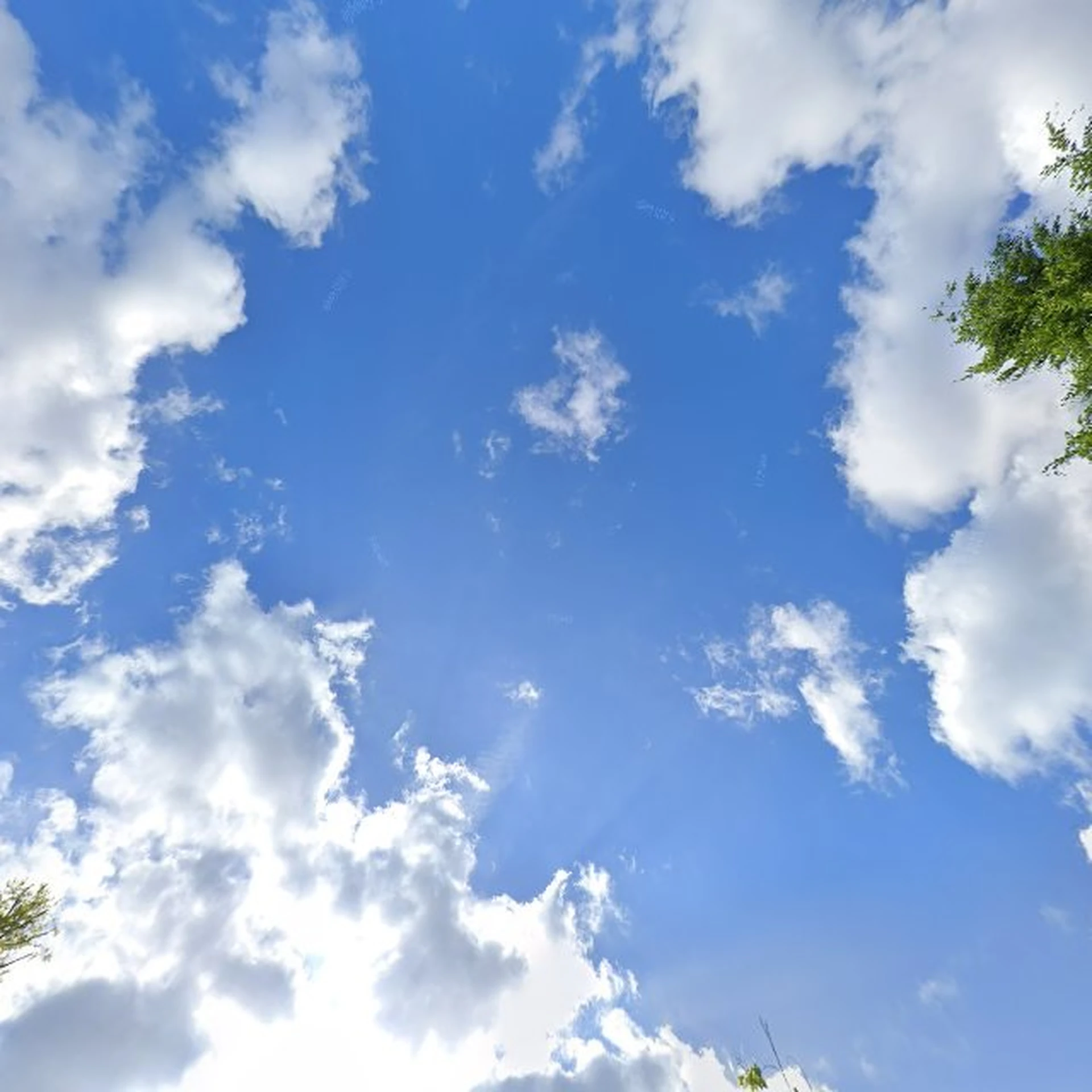 Kringloopwinkel Kringloopwinkel Stichting Vincentrum-Winkel in Arnhem