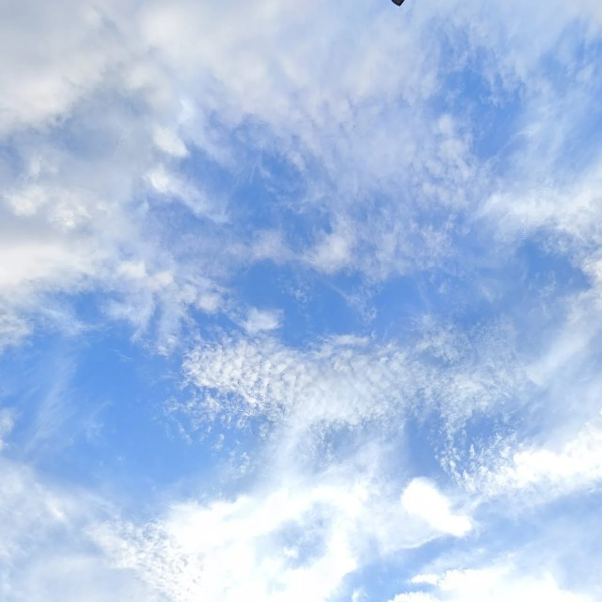 Kringloopwinkel Stichting Vrijwilligers Van Goede Doelen Winkel Sittard in Sittard