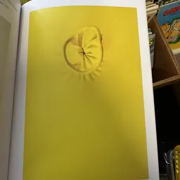 Geel schilderij of kunstwerk met een citroenachtig motief op witte achtergrond