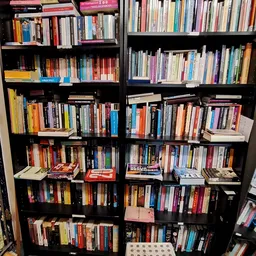 Zwarte boekenkast met veel tweedehands boeken en dvd's netjes uitgestald op meerdere niveaus