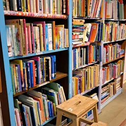 Boekenkast met veel tweedehands boeken en dvd's netjes uitgestald op verschillende planken