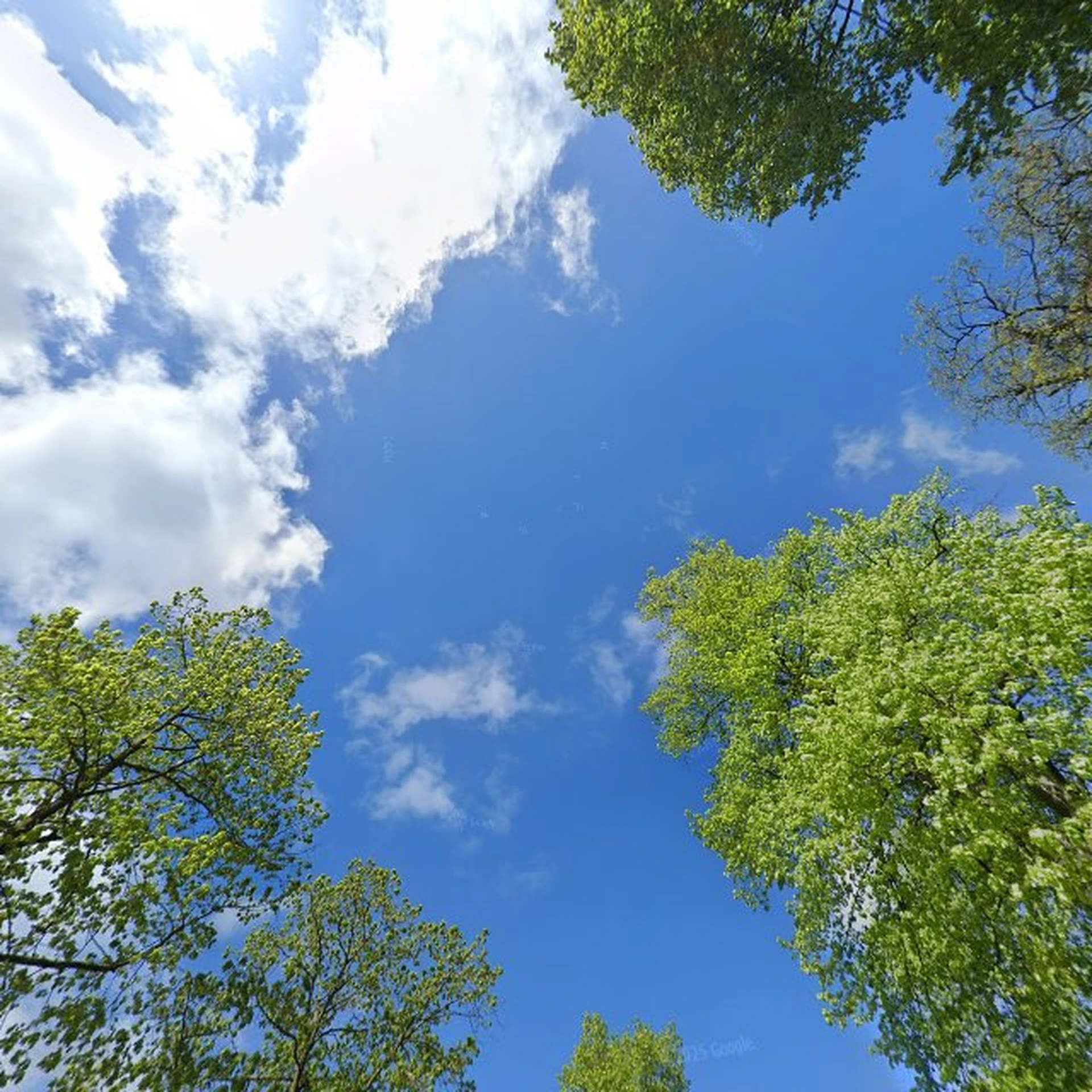 Kringloopwinkel 't Kerkerf Kringloop in Lunteren