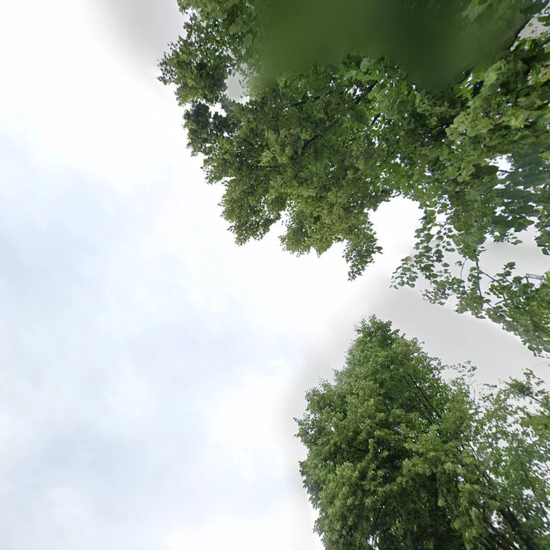 Kringloopwinkel Tafel Xanten e.V. in Xanten