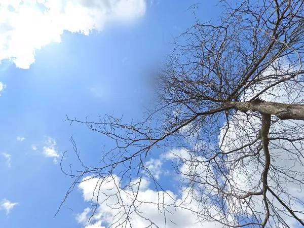 Kringloopwinkel Kringloopwinkel Terre des Hommes winkel Alphen aan den Rijn in Alphen aan den Rijn