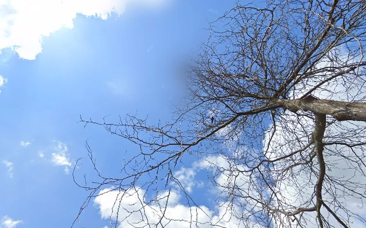 Kringloopwinkel Kringloopwinkel Terre des Hommes winkel Alphen aan den Rijn in Alphen aan den Rijn