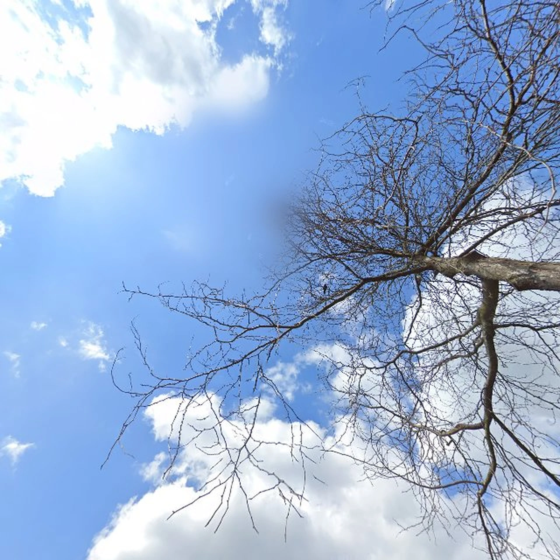 Kringloopwinkel Kringloopwinkel Terre des Hommes winkel Alphen aan den Rijn in Alphen aan den Rijn