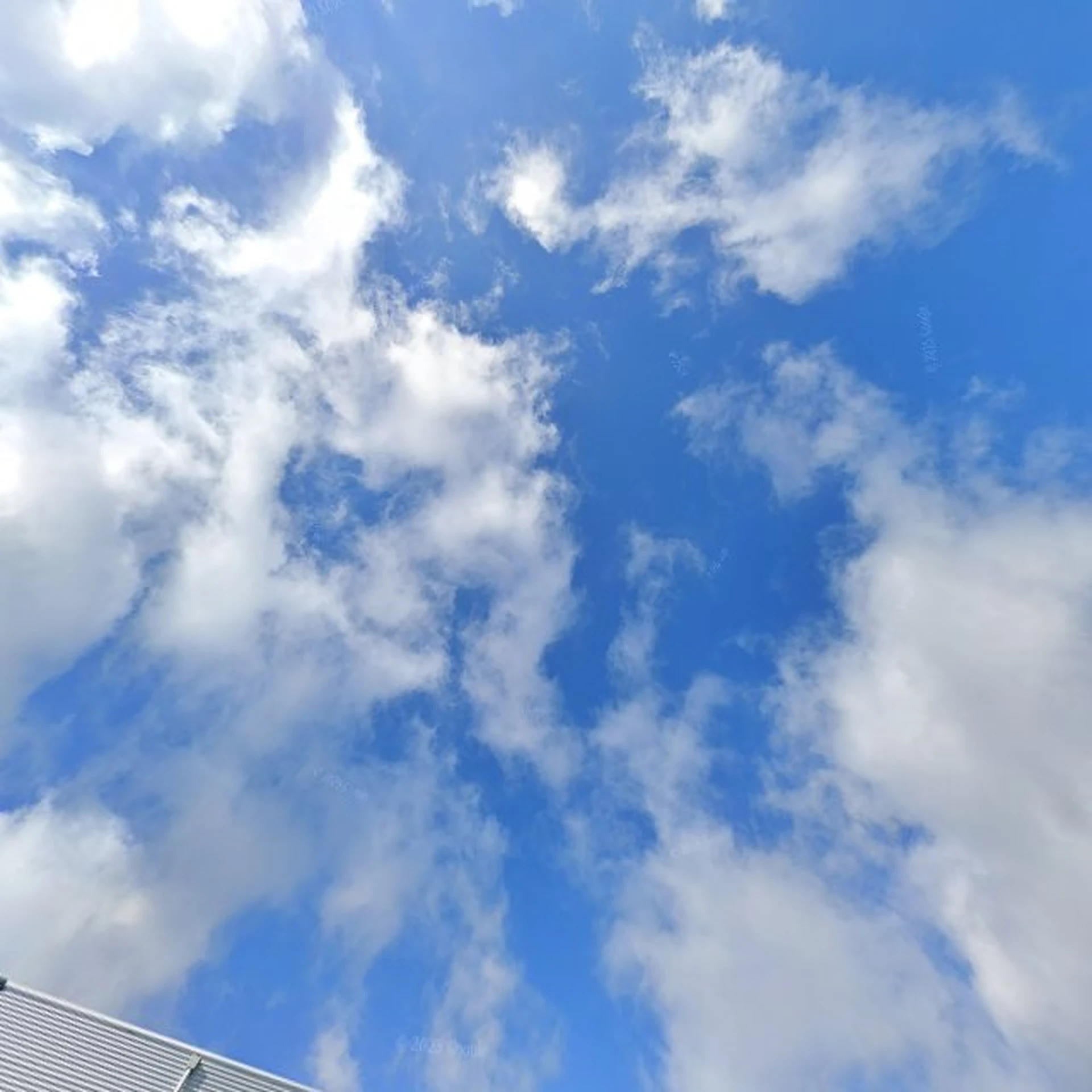 Kringloopwinkel Kringloopwinkel Terre des Hommes winkel Assen in Assen