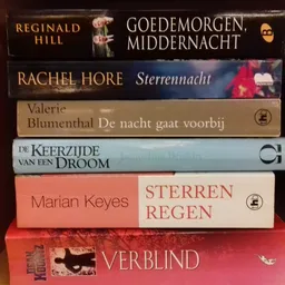 Stapel tweedehands boeken met Nederlandse titels, waaronder werken van Reginald Hill en Rachel Hore