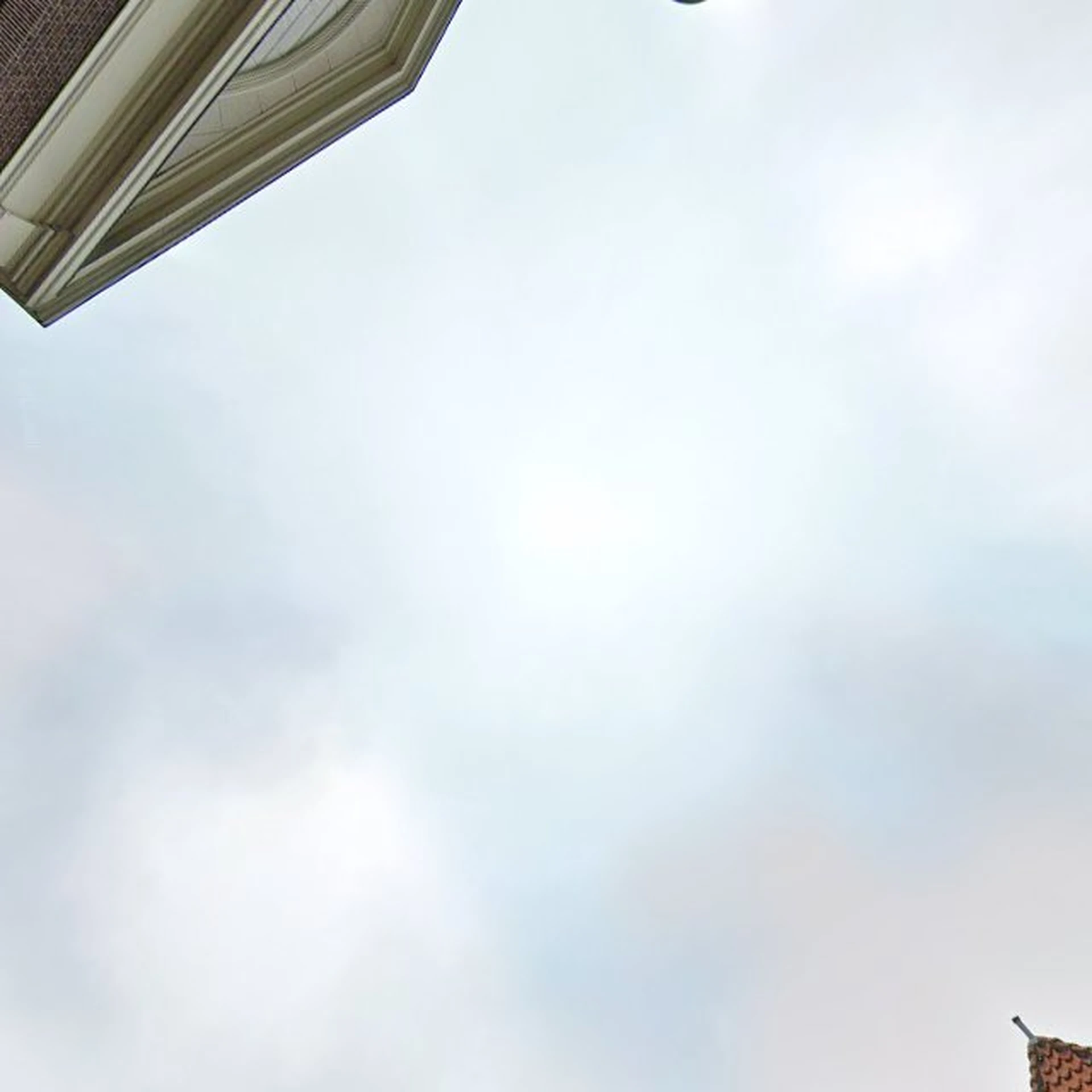 Kringloopwinkel Kringloopwinkel Terre des Hommes winkel in Delft