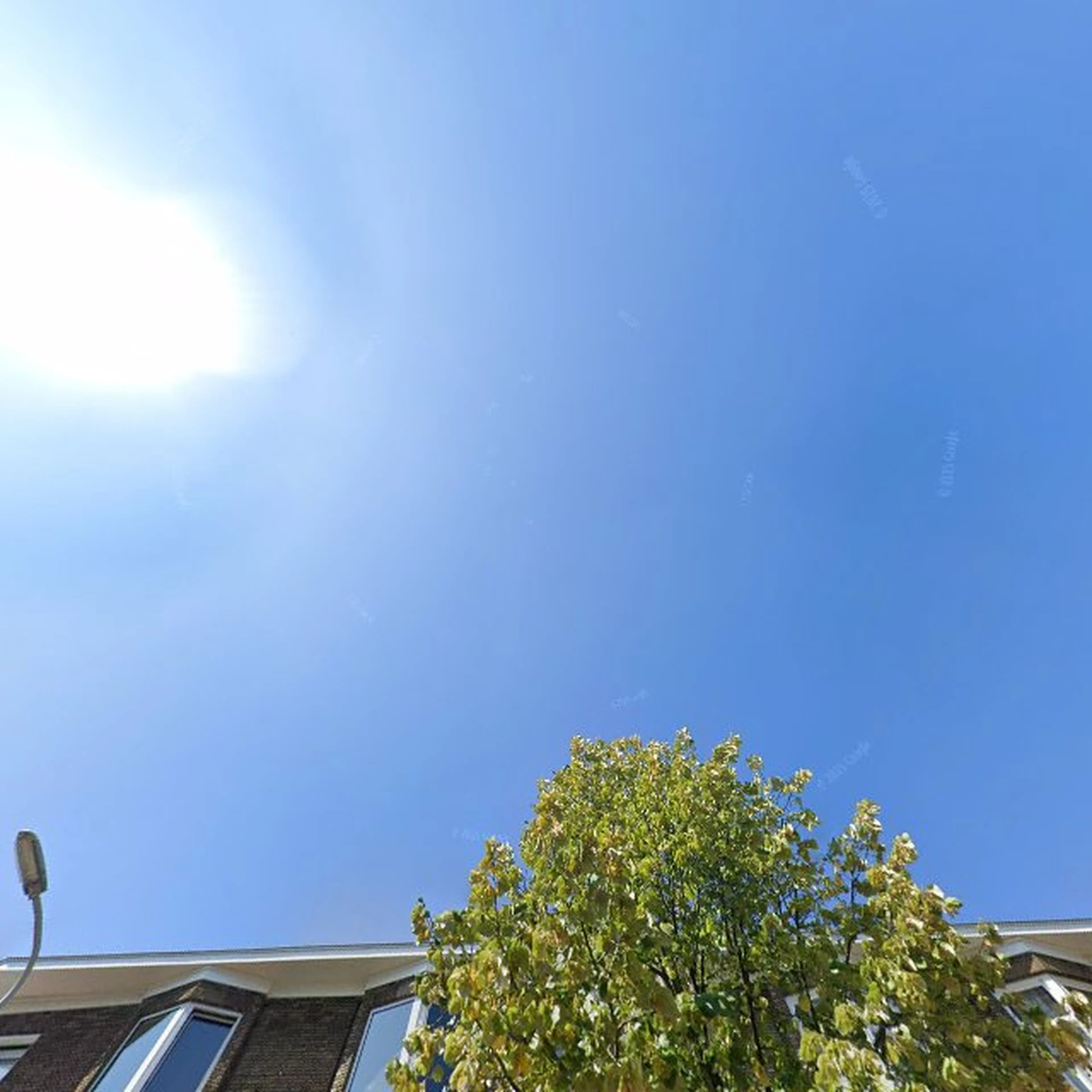 Kringloopwinkel Kringloopwinkel Terre des Hommes winkel Den Haag in Den Haag