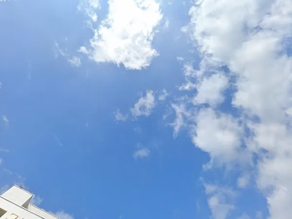 Kringloopwinkel Kringloopwinkel Terre des Hommes winkel Emmen in Emmen