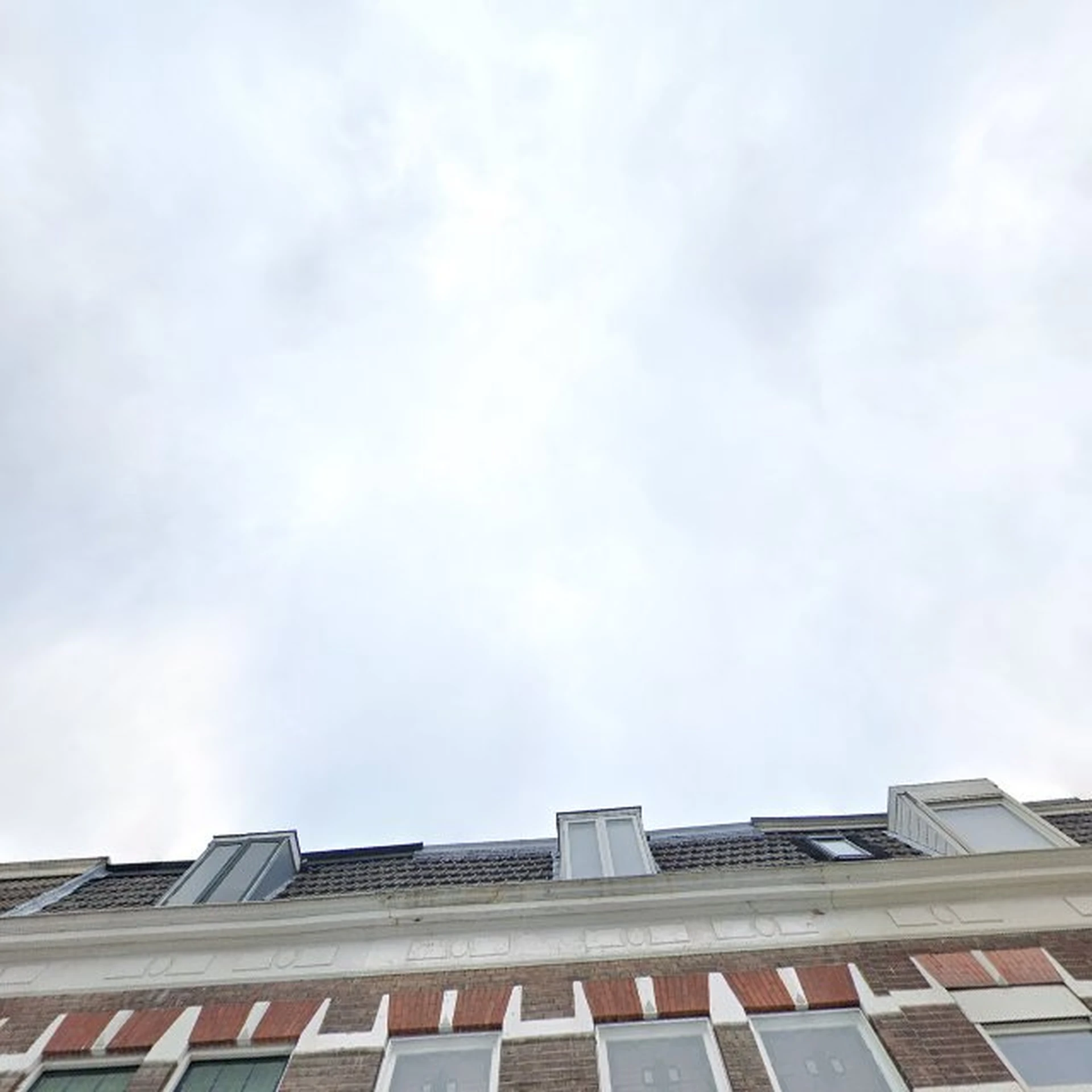 Kringloopwinkel Kringloopwinkel Terre des Hommes winkel Haarlem in Haarlem