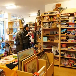 Winkelvloer met houten stellingen vol boeken, speelgoed, beeldjes en diversen spullen, klant aan het kijken