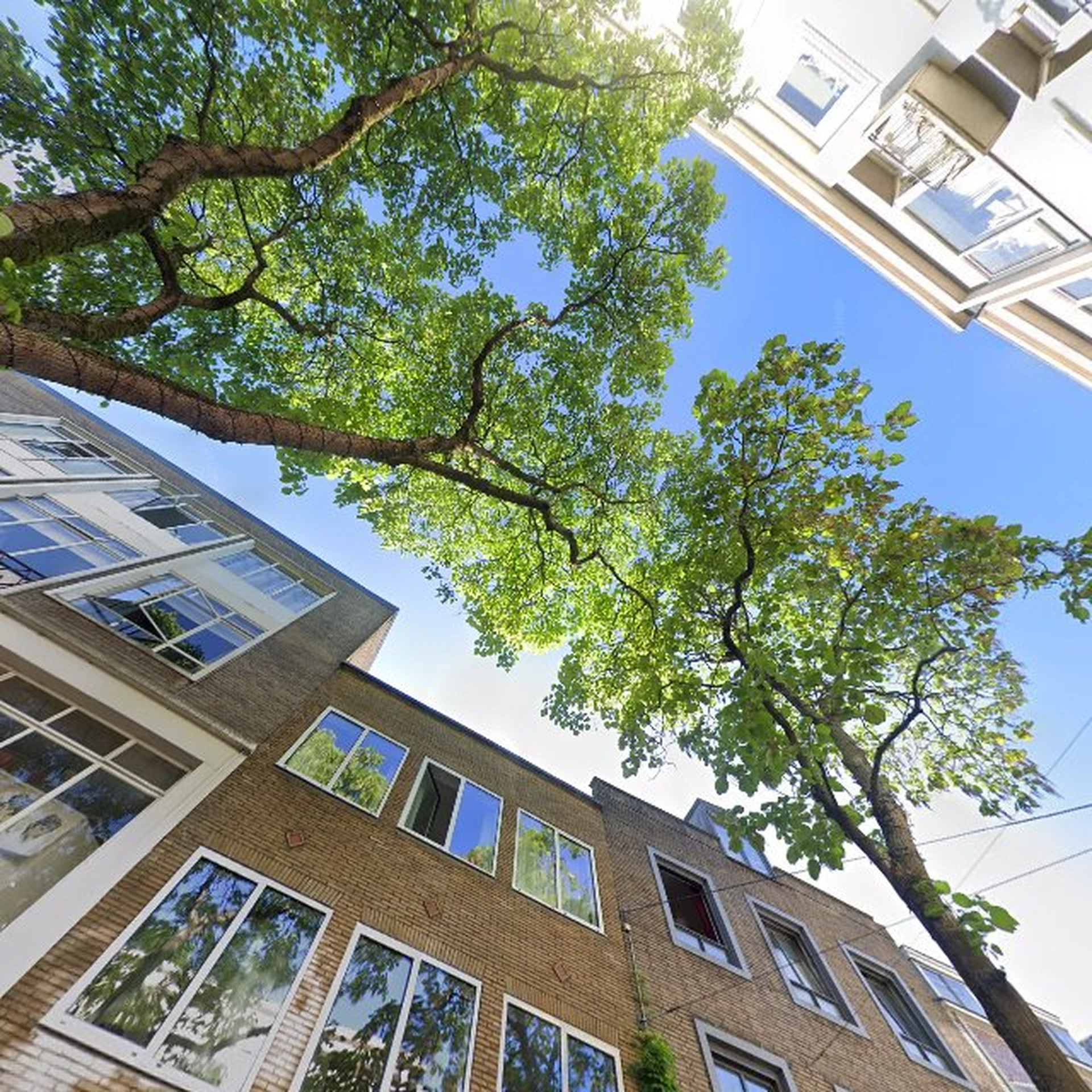 Kringloopwinkel Kringloopwinkel Terre des Hommes winkel Nijmegen in Nijmegen