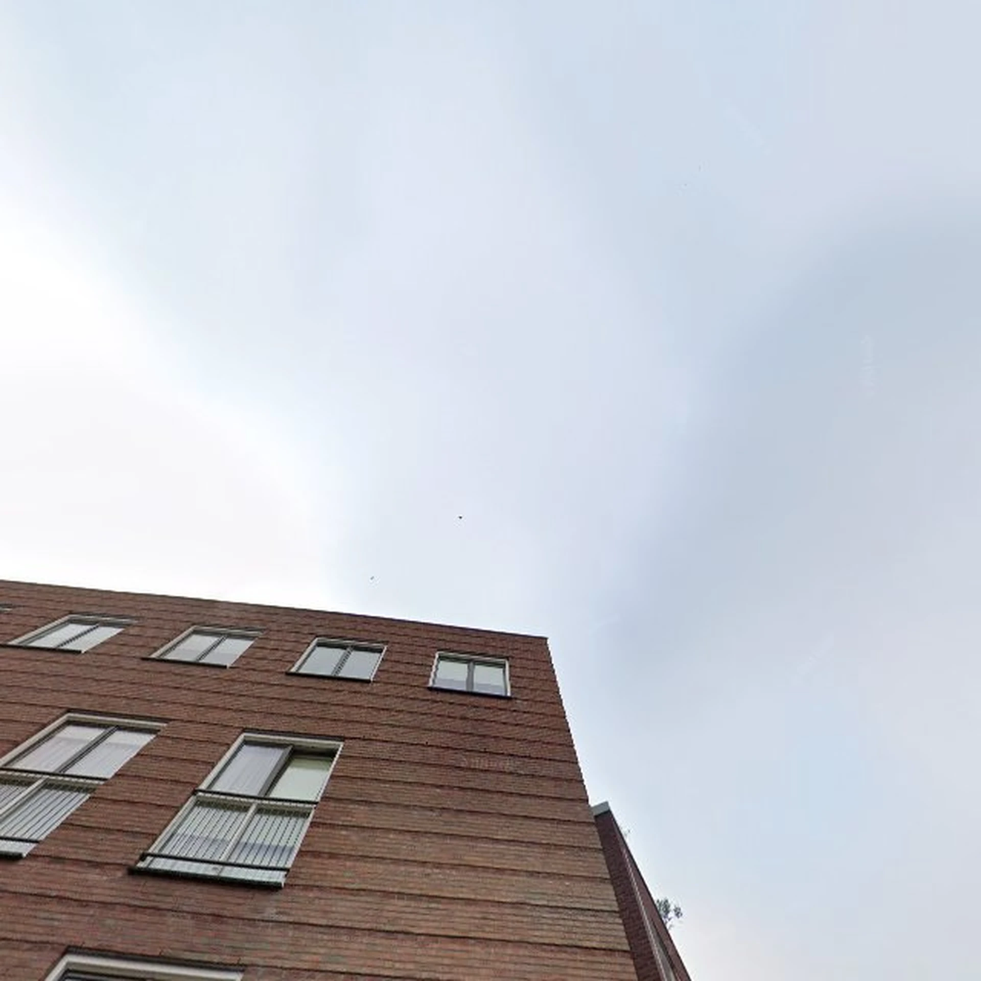 Kringloopwinkel Kringloopwinkel Terre des Hommes winkel Wageningen in Wageningen