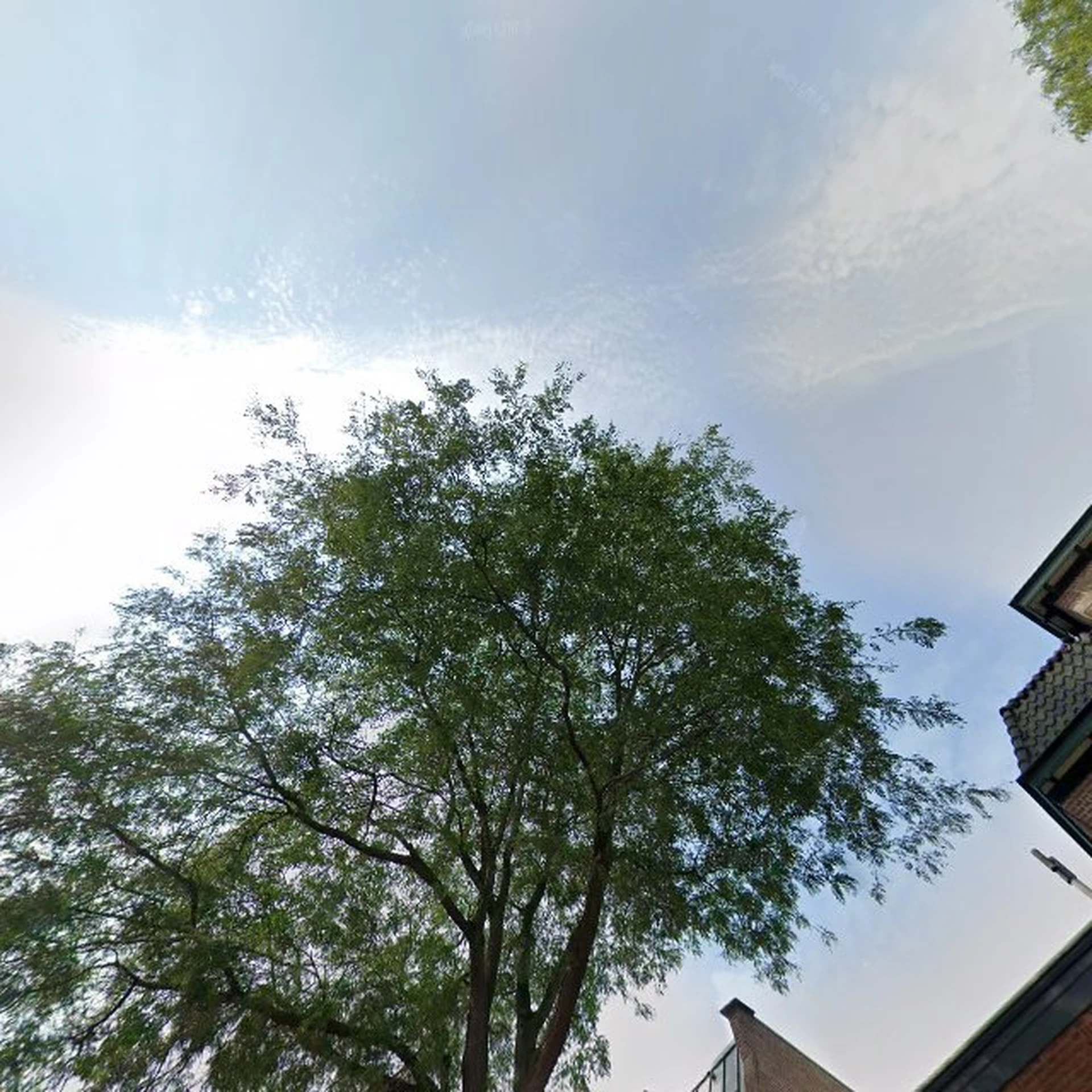 Kringloopwinkel Kringloopwinkel Terre des Hommes winkel Zwolle in Zwolle