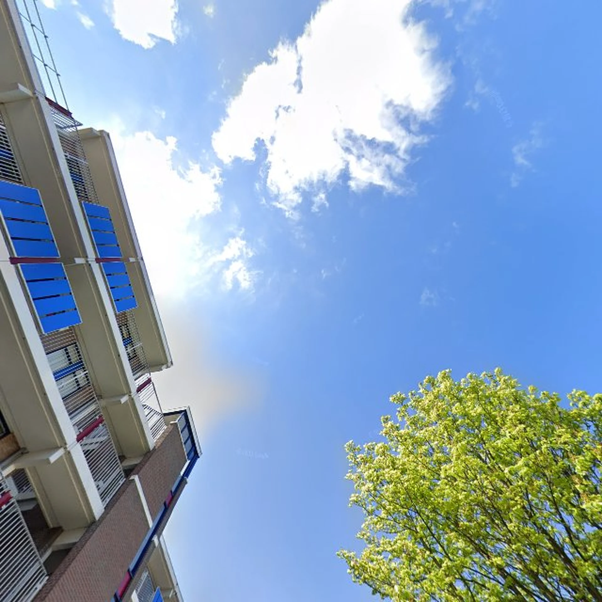 Kringloopwinkel Kringloopwinkel Terre des Hommes Zoetermeer in Zoetermeer