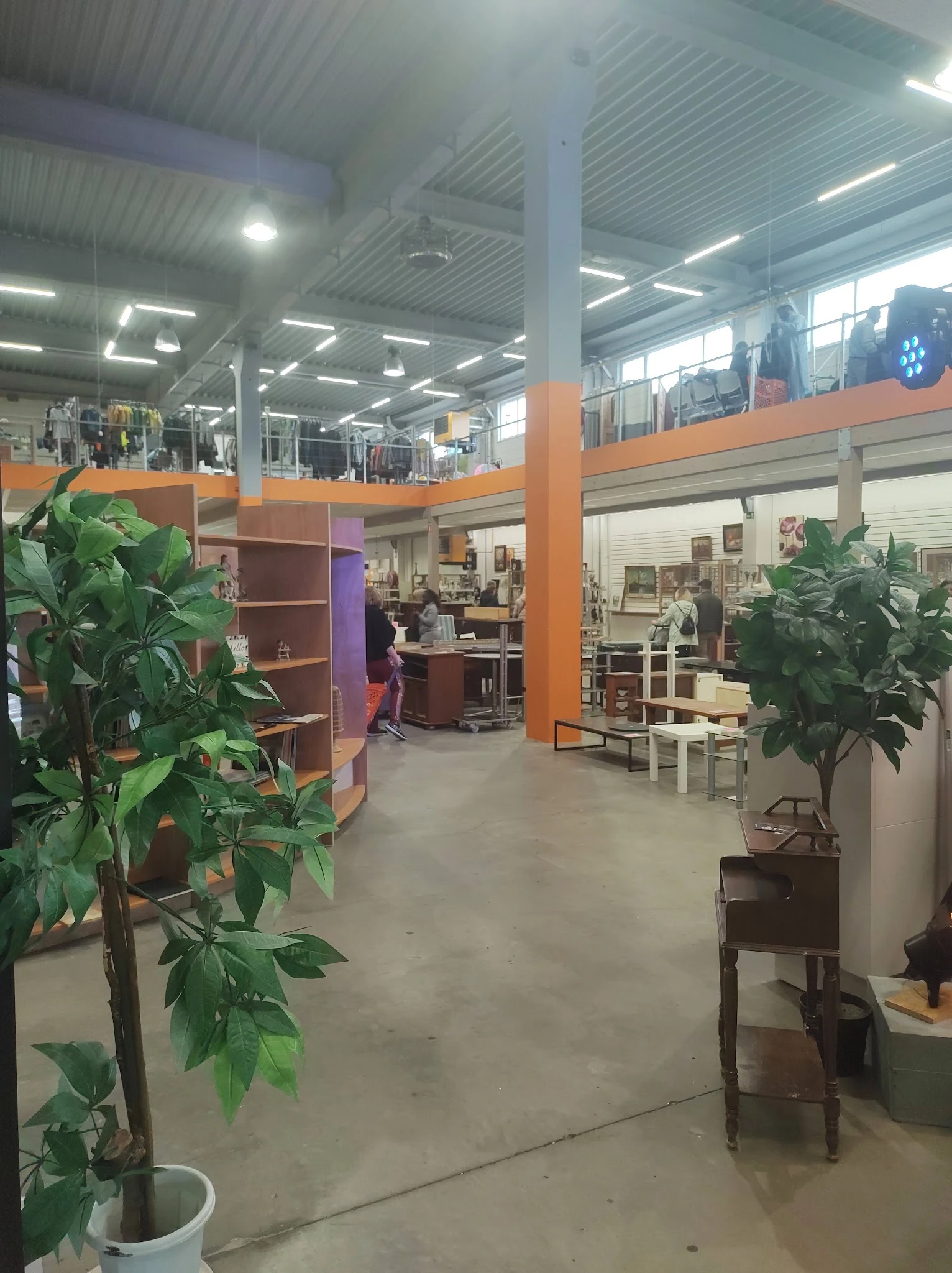 Ruim winkelinterieur met oranje zuilen, groene planten, houten meubels en diverse spullen uitgestald