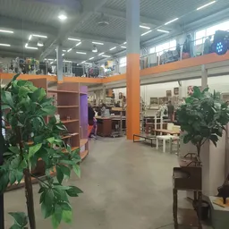 Ruim winkelinterieur met oranje zuilen, groene planten, houten meubels en diverse spullen uitgestald