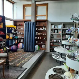 Winkelvloer met stellingen, boeken, speelgoed, bloemen en decoratieve items in een kringloopwinkel