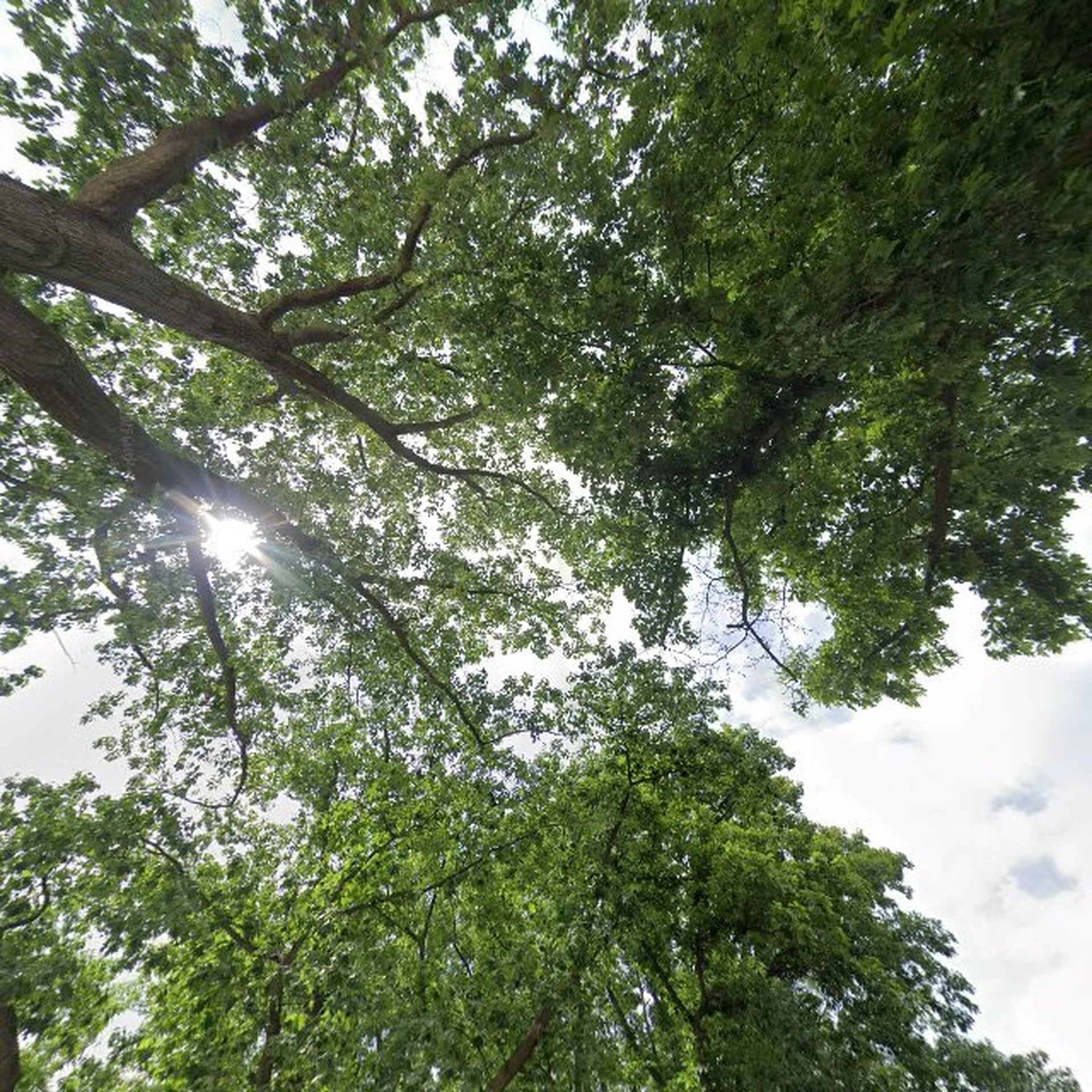 Kringloopwinkel the Boedelhof in Vorden