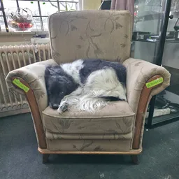 Bezoeker foto van the Boedelhof in Vorden