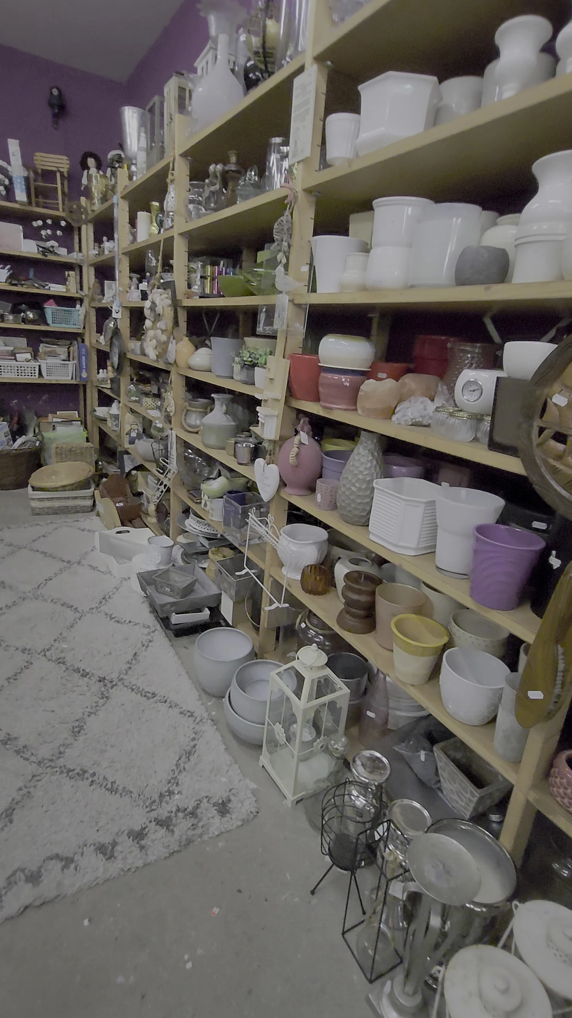 Kringloopwinkel The house of Aunt Trees in Hillegom