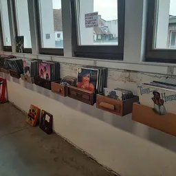 Uitgestalde cd's en vinyl records in bruine kartonnen bakken onder grote ramen