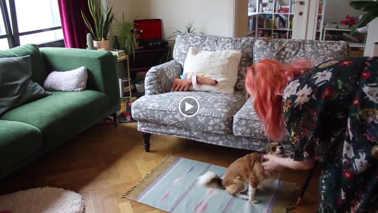 Woonkamer met grijsgebloemd tweepersoonsbankstel, groene fauteuil, houten vloer en huisdier