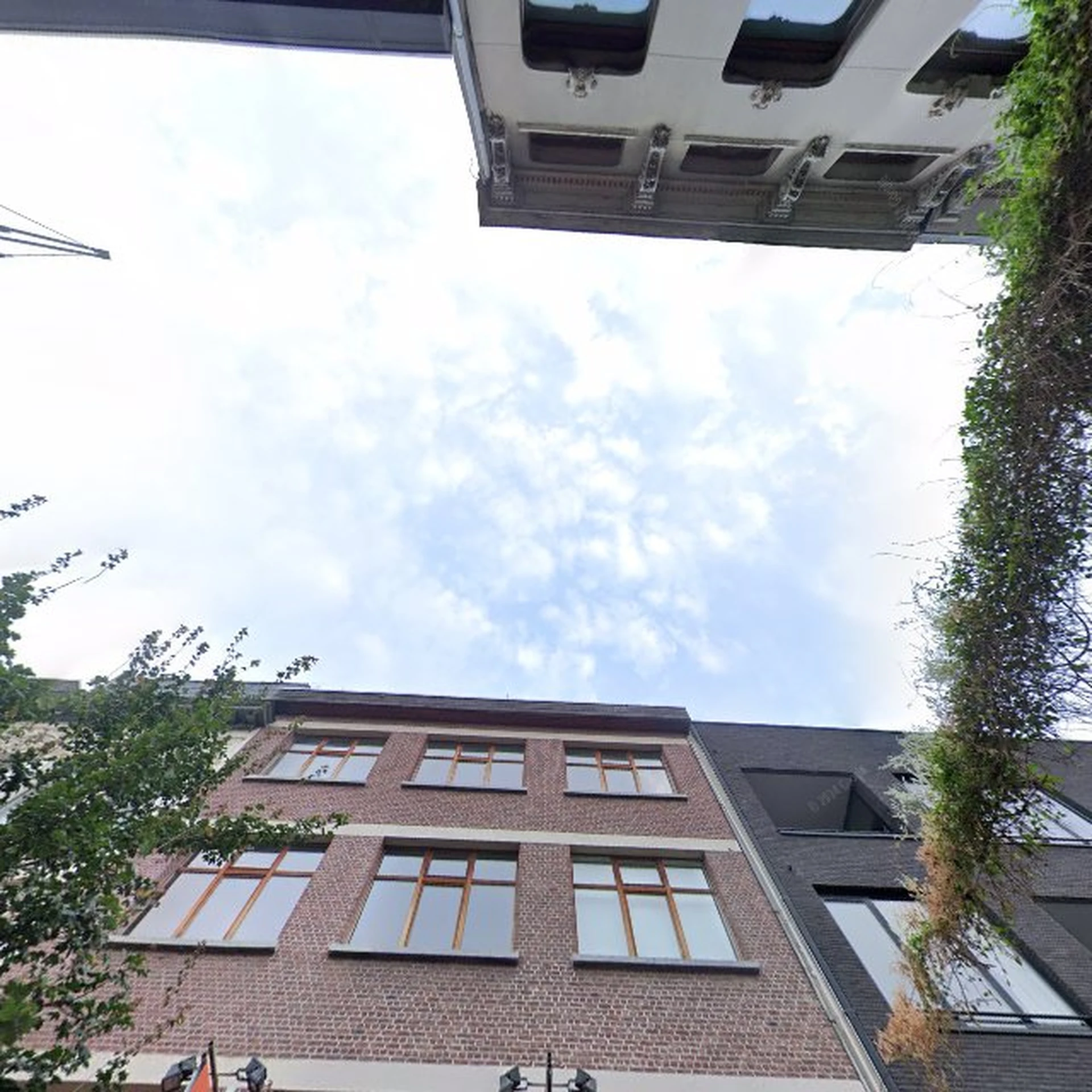 Bakstenen gevel van een gebouw met ramen, omgeven door groene klimop, tegen een bewolkte lucht