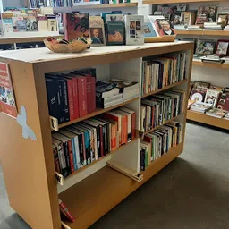 Houten boekenkasten op wielen gevuld met tweedehands dvd's, cd's en boeken in de winkel