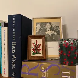 Bezoeker foto van Kringloopwinkel The Past And The Present in Amsterdam