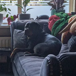 Bezoeker foto van Kringloopwinkel The Vintage Store in Cruquius