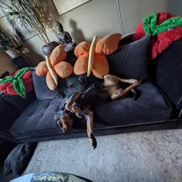 Bezoeker foto van Kringloopwinkel The Vintage Store in Cruquius