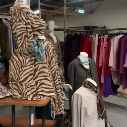 Mannequins met uitgestalde dames- en herenkleding, waaronder een zebra-print outfit en gekleurde jurken op rekken