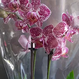 Bezoeker foto van Thrift Store: De Lokatie in Amsterdam