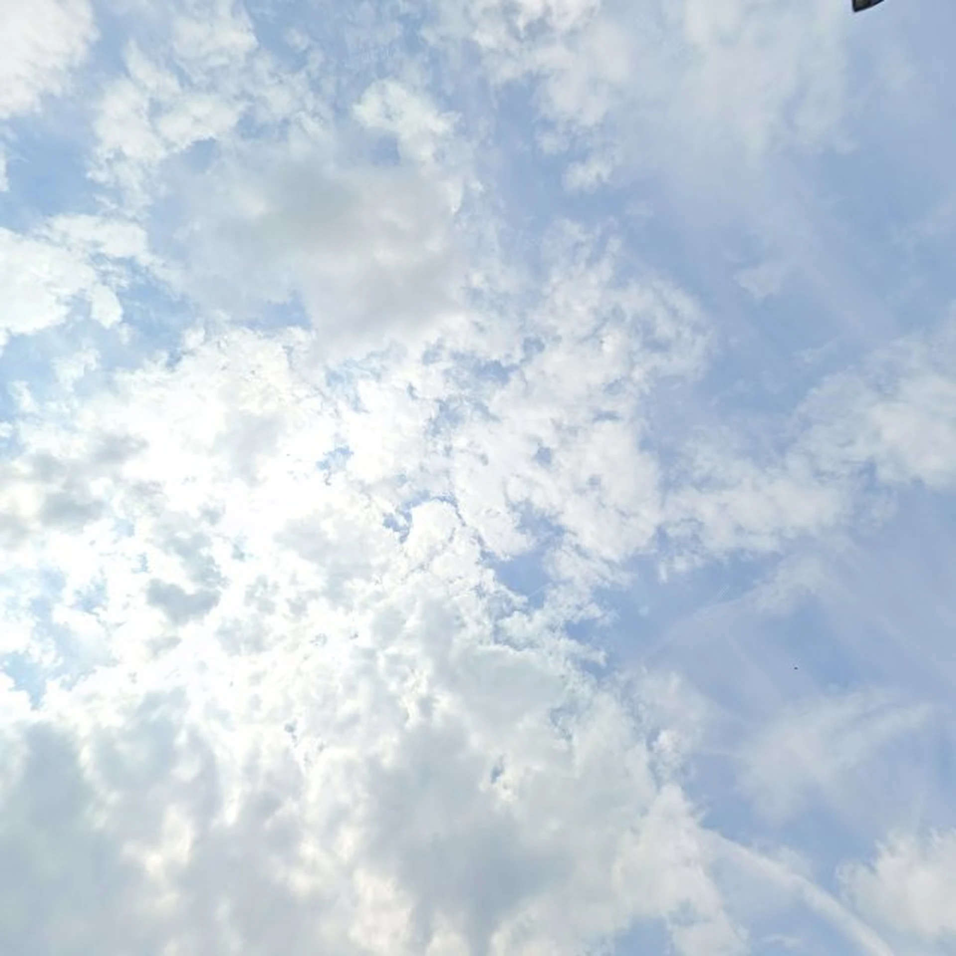 Kringloopwinkel Thrift Store What's in? in Groningen